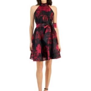 NWT Melonie T fit & flared dress